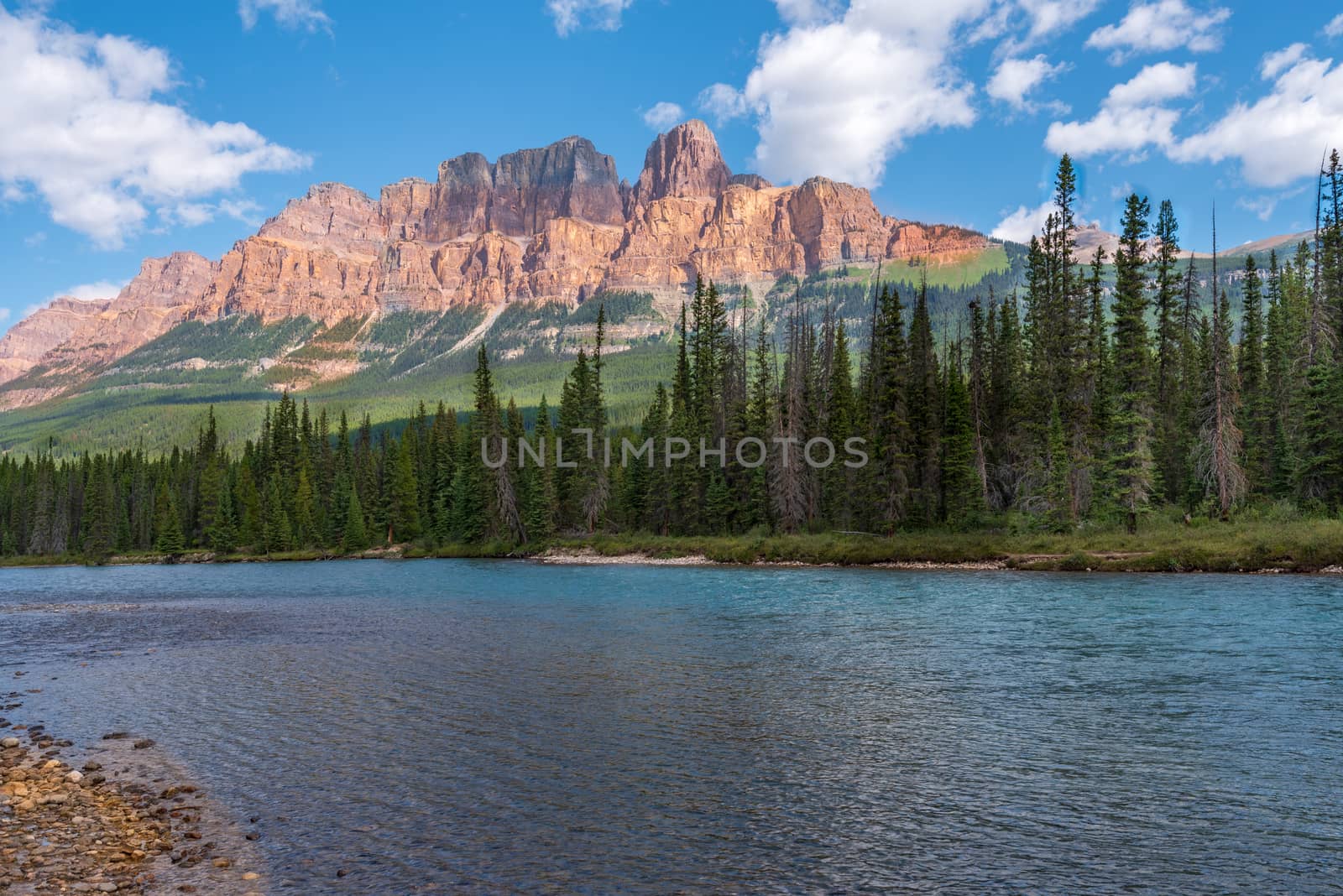 The Bow River in the valley surrounded by forests and mountains.