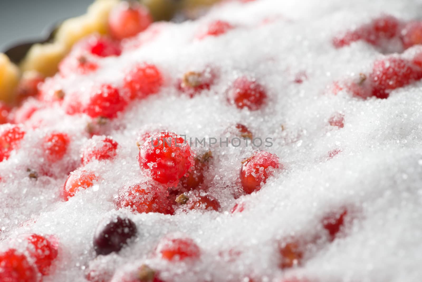 Redcurrant stands out from the sparkling granulated white sugar within this prepared but uncooked currant dessert tart.