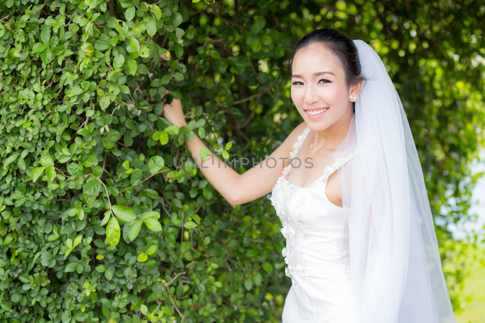 beautiful young woman on wedding day in white dress in the tree wall. Female portrait in the park - Selective focus