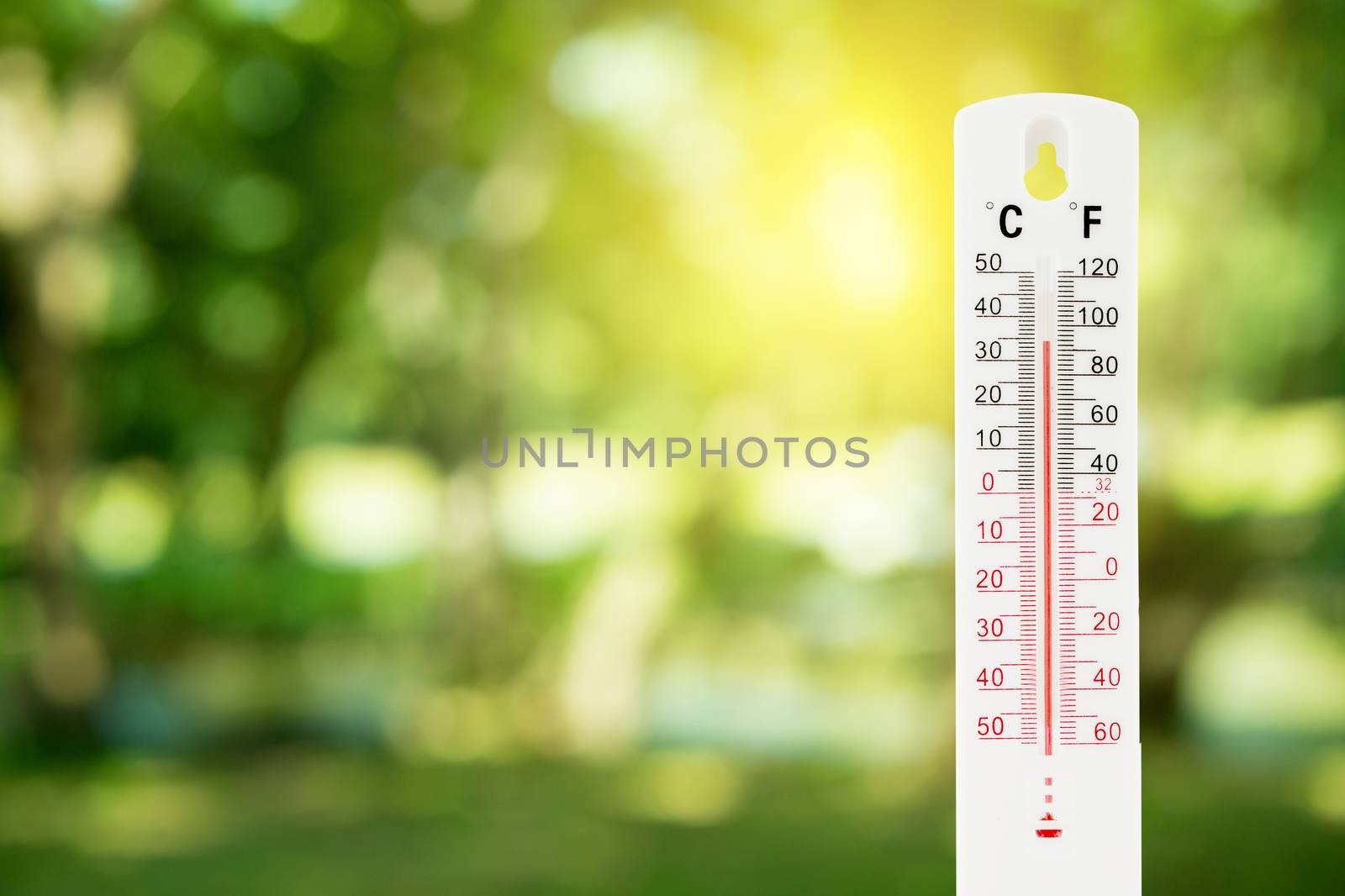 thermometer on a green nature background and temperature measuring, environment concept.