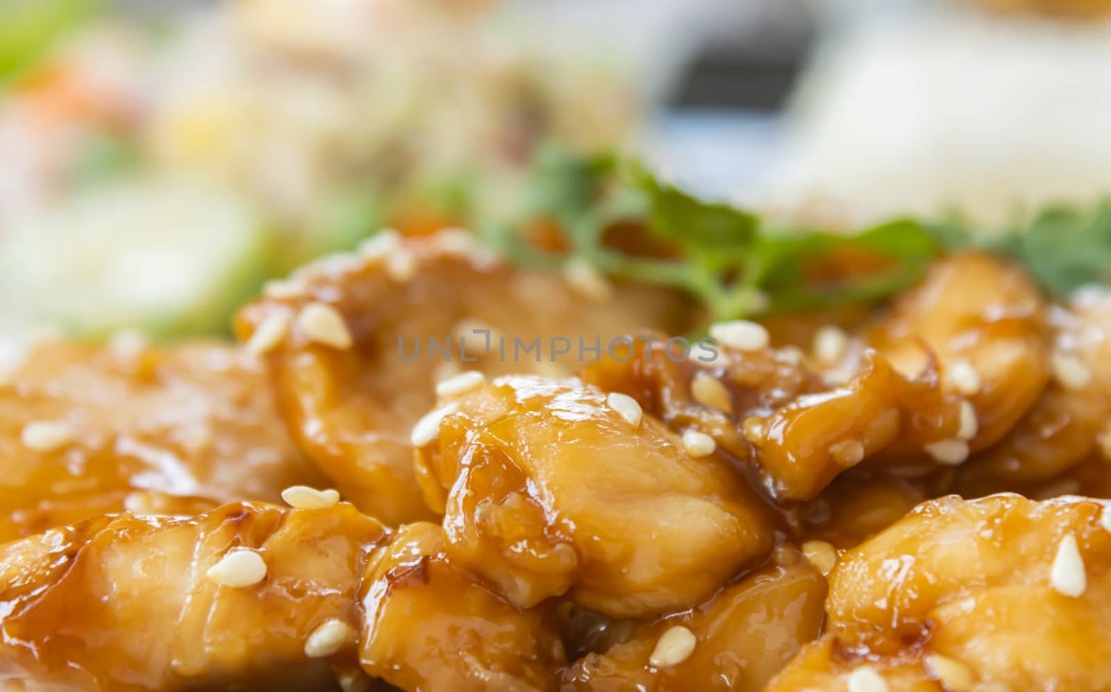 Fried Chicken with Garlic and Pepper in Zoom View by steafpong