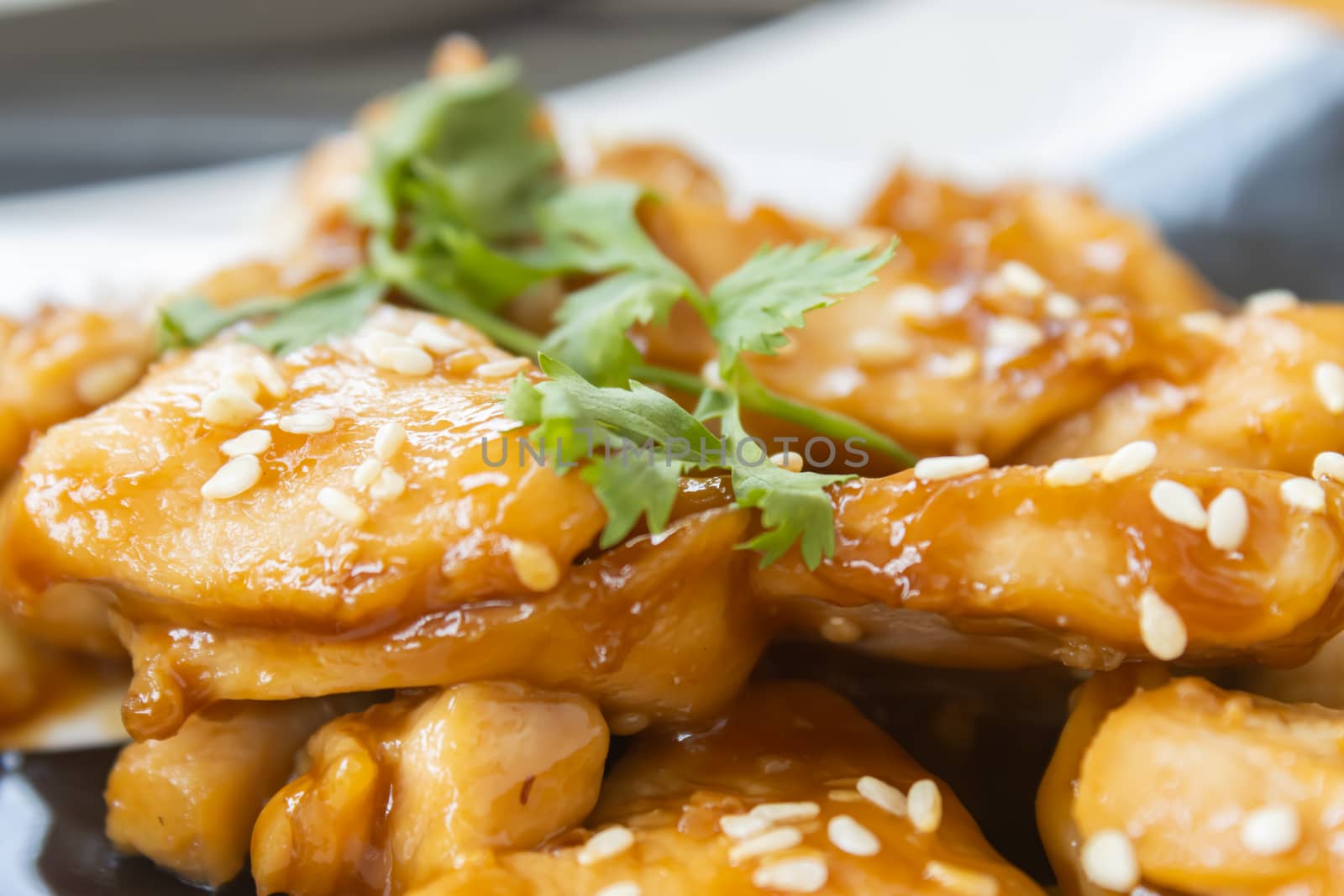 Fried Chicken with Garlic and Pepper and Coriander in Dish with Natural Light on Center Frame