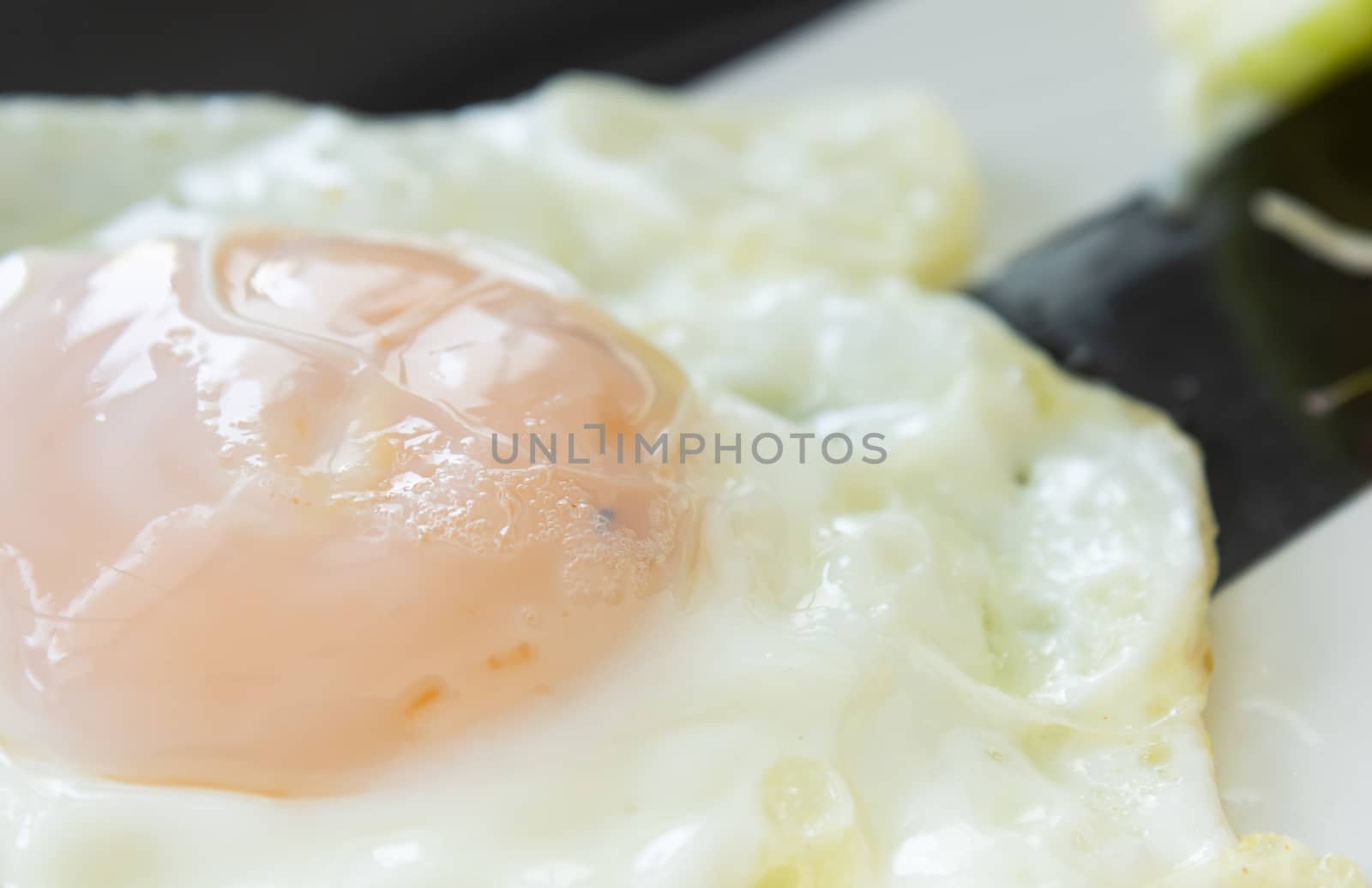 Fried Egg on Dish with Natural Light in Close Up View. Delicious Breakfast for Health