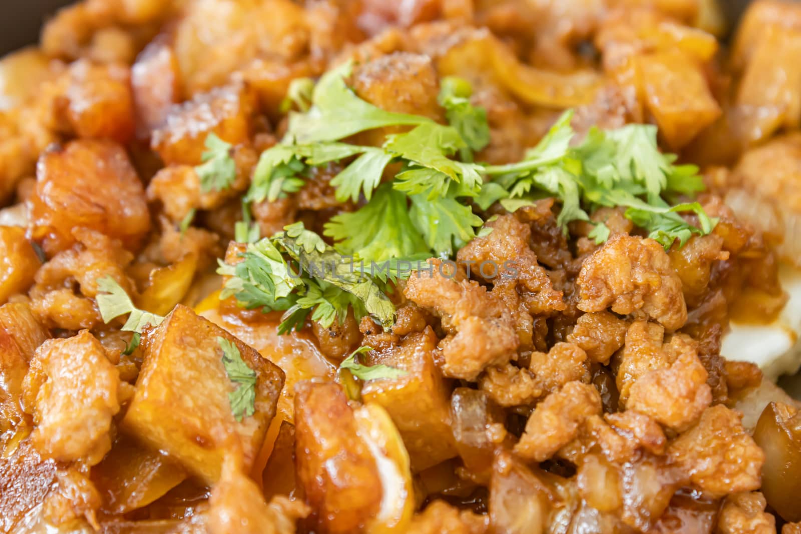 Stir Fried Pork with Onion and Garlic and Black Soy Sauce and Coriander Topping and Tofu with Natural Light in Close Up View