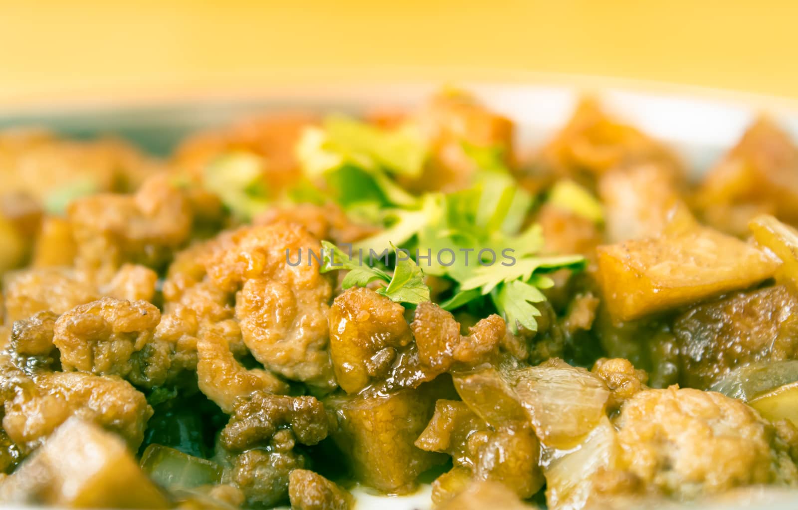 Stir Fried Pork with Onion and Garlic and Black Soy Sauce and Coriander Topping in Zoom View with Natural Light in Vintage Tone