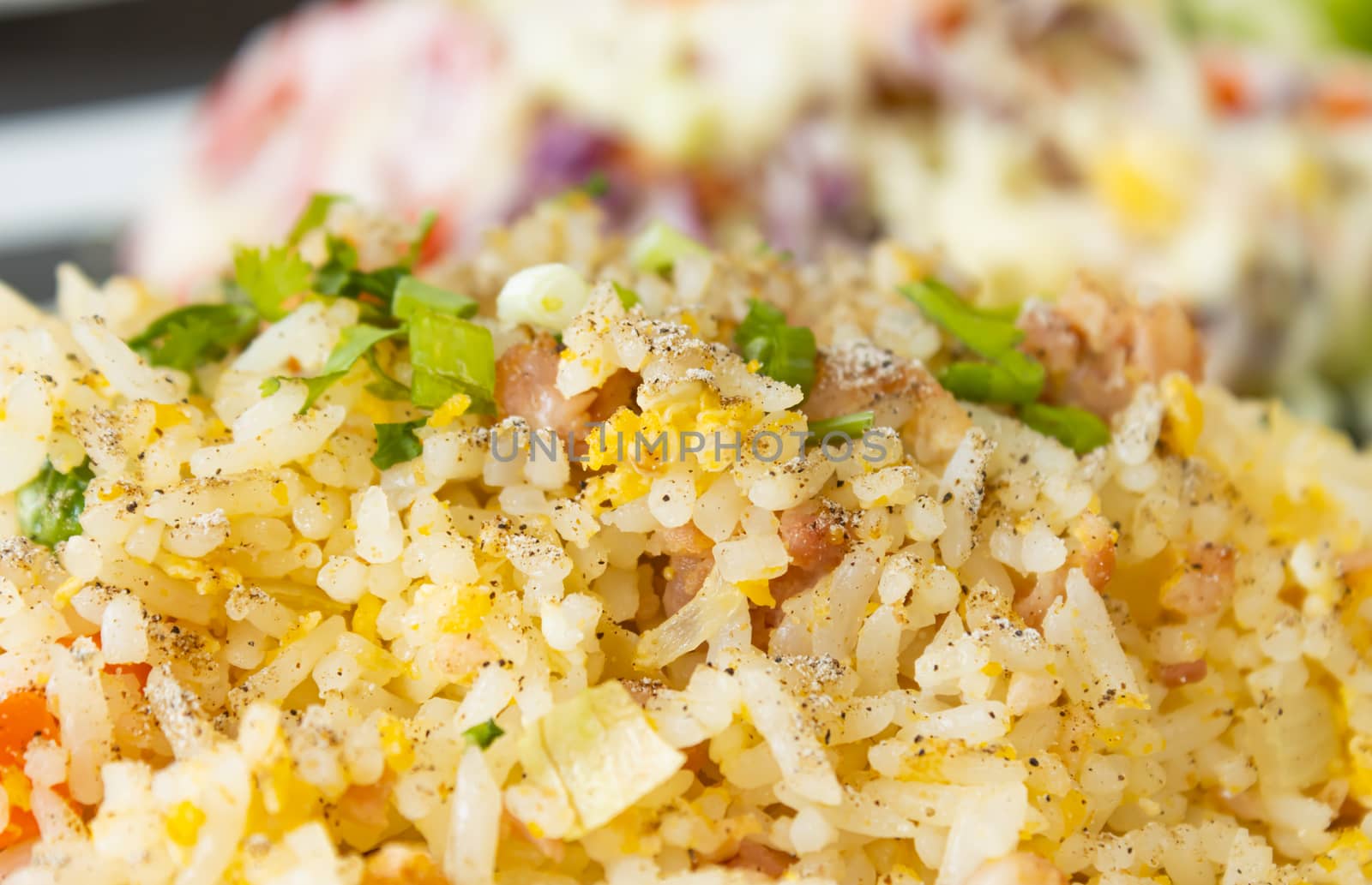 Thai Sour Pork Fried Rice and Salad in Dish with Natural Light in Close Up View
