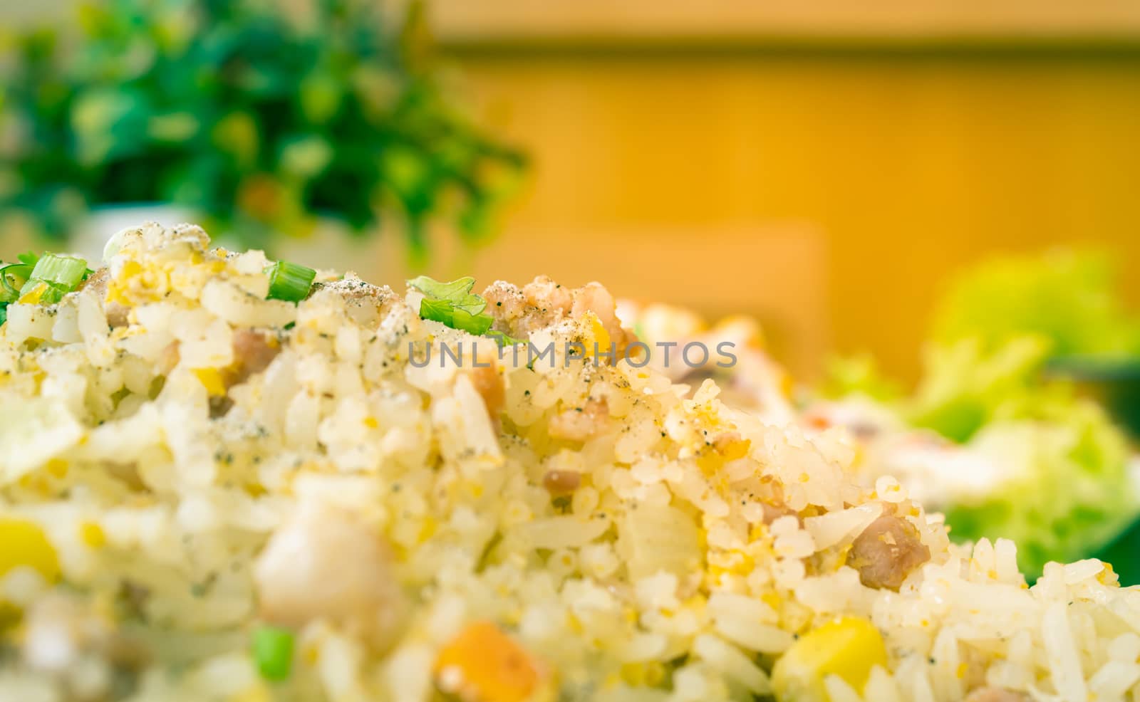 Thai Sour Pork Fried Rice and Salad in Dish with Natural Light in Close Up View on Left Frame in Vintage Tone