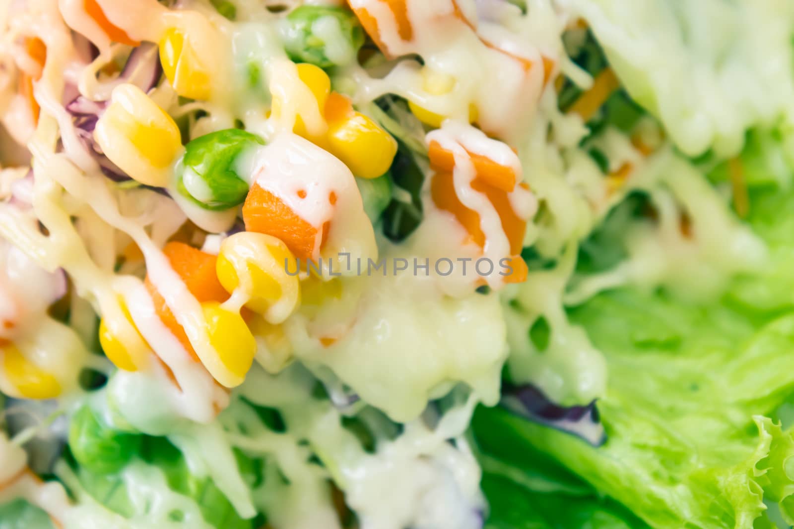 Vegan or Vegetarian Salad with Mayonnaise Topping on Left Frame  by steafpong