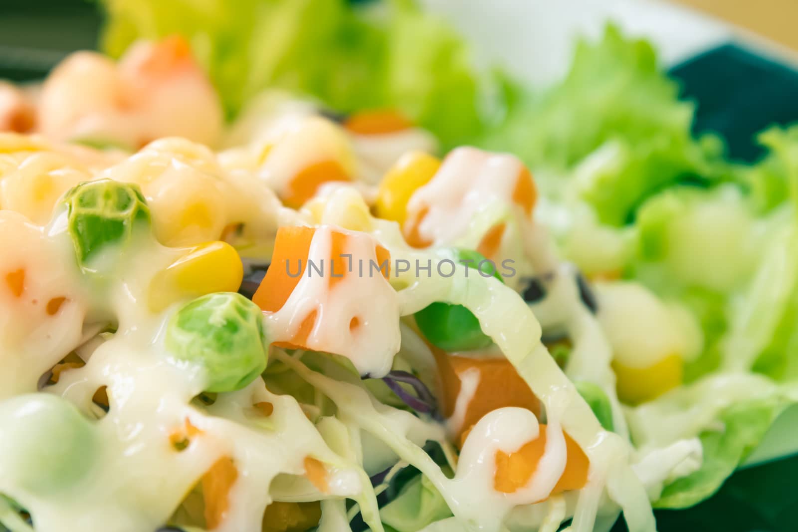 Vegan Salad or Vegetarian Salad on Left Frame include Carrot and Peas and Corn and Lettuce and Cabbage with Natural Light in Vintage Tone