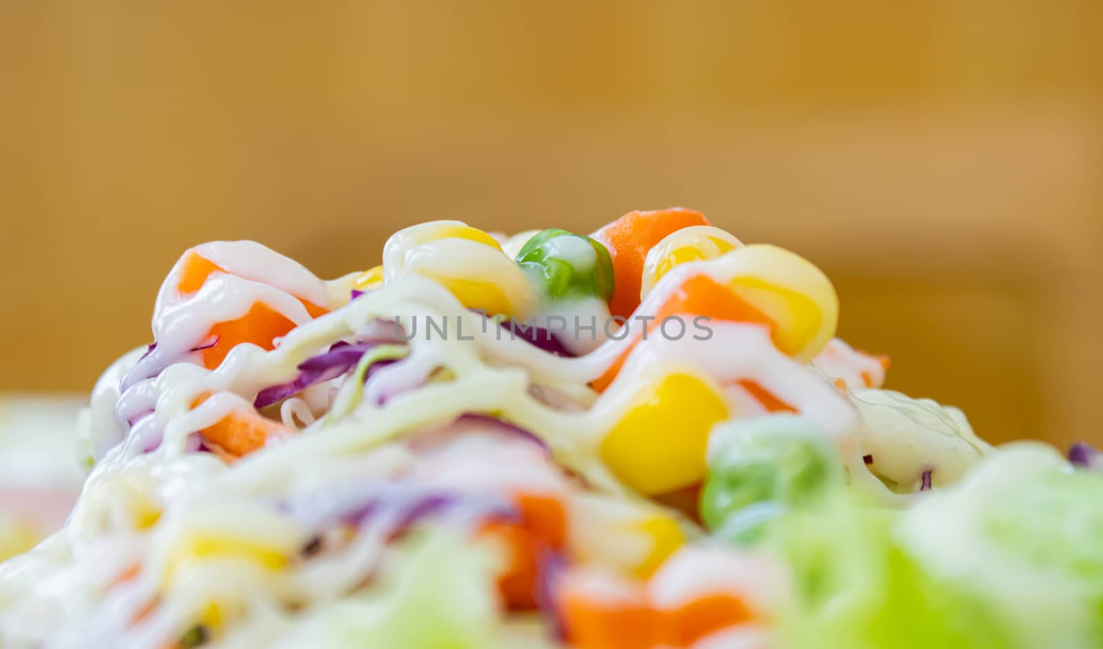 Vegetarian Salad with Mayonnaise Topping in Close Up View on Hal by steafpong