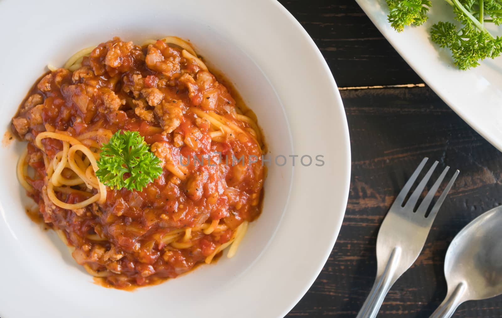 Spaghetti Tomato Sauce with Parsley and Onion and Pork Left Flat by steafpong