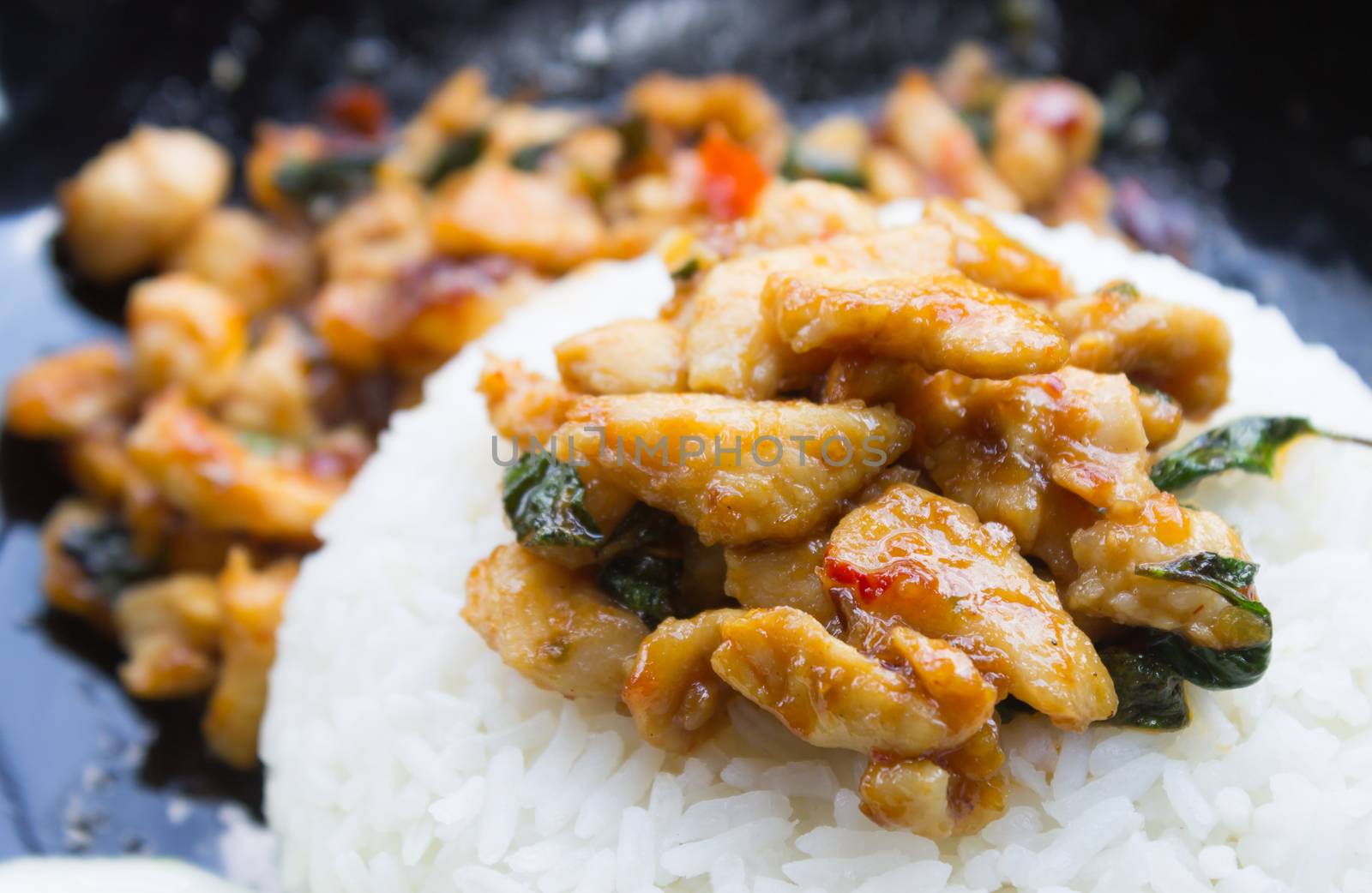 Stir-Fried Chicken and Holy Basil on Rice or Thai Food Recipe Ri by steafpong