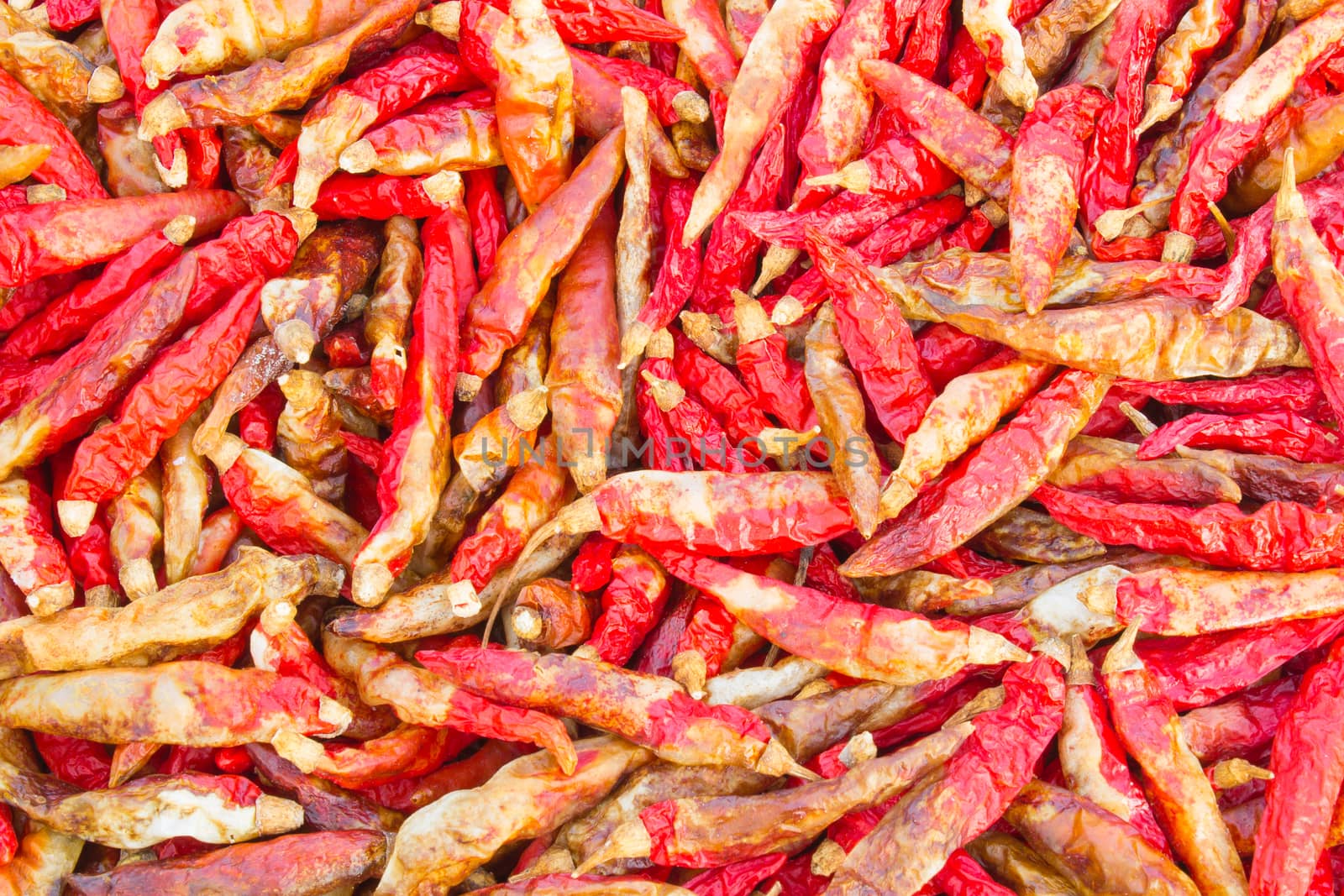 Dried Chili by steafpong