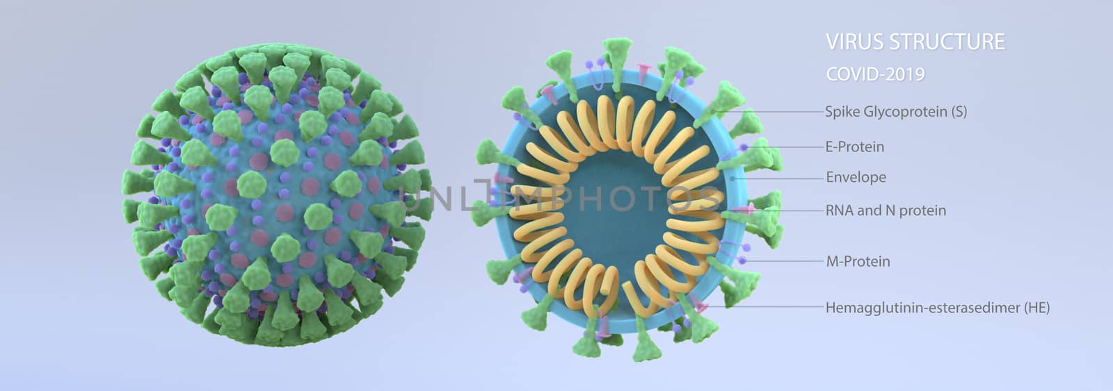 3d rendering of virus structure. by FREEDOM-ELEMENT