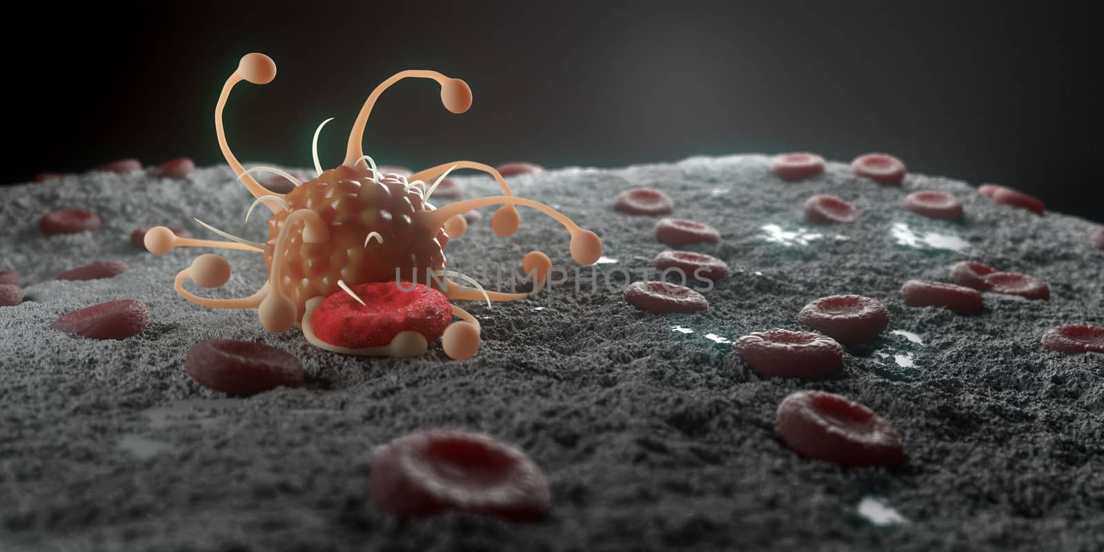 3d rendering of virus and Blood vessels.