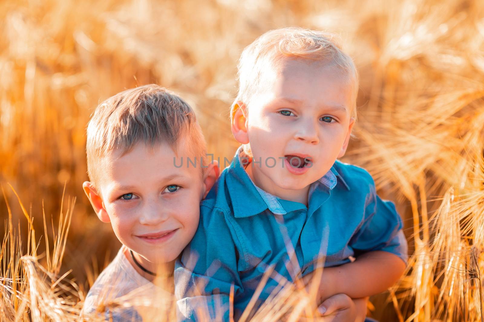 Cute little kids having fun in golden wheat field at the sunset