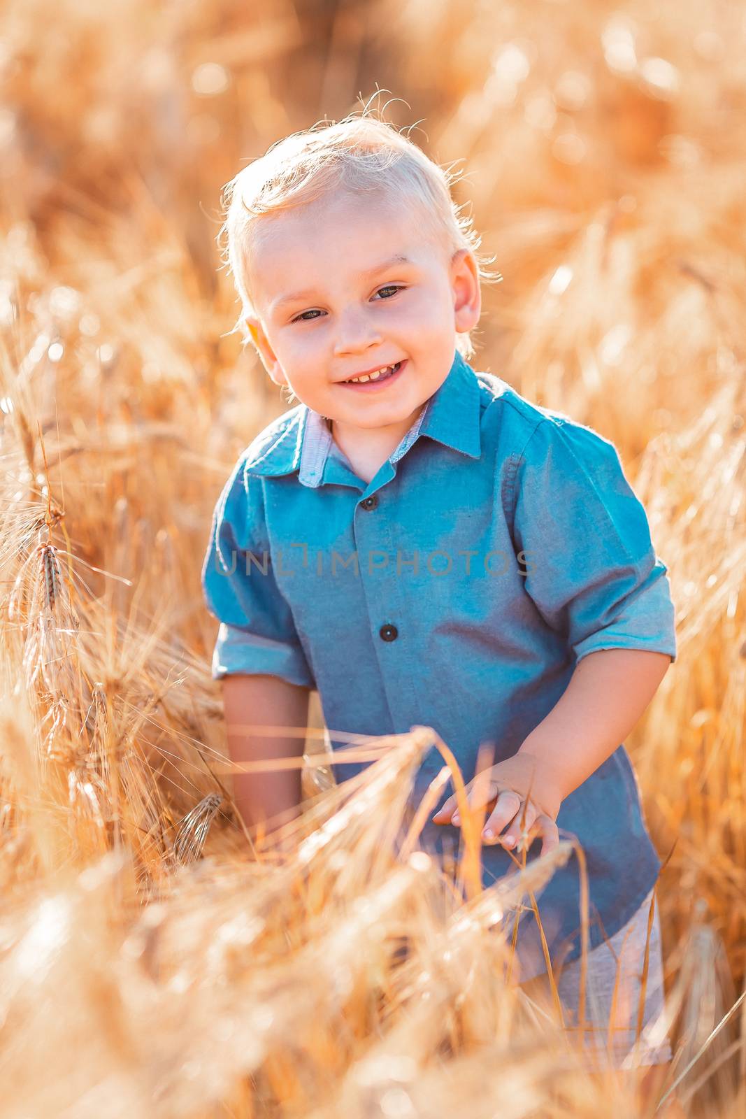 Cute baby boy running down golden wheat field at the sunset