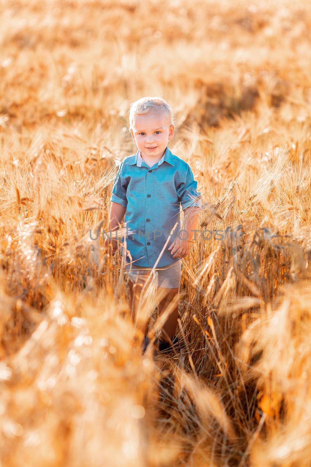 Cute baby boy running down golden wheat field at the sunset