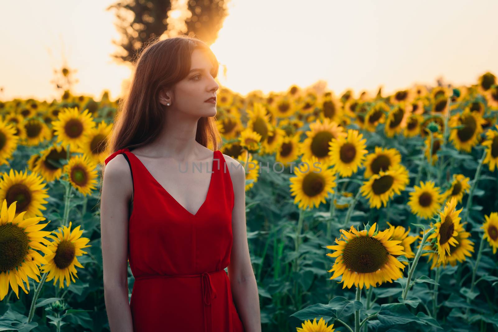 woman with red dress in sunflowers field by Fotoeventis