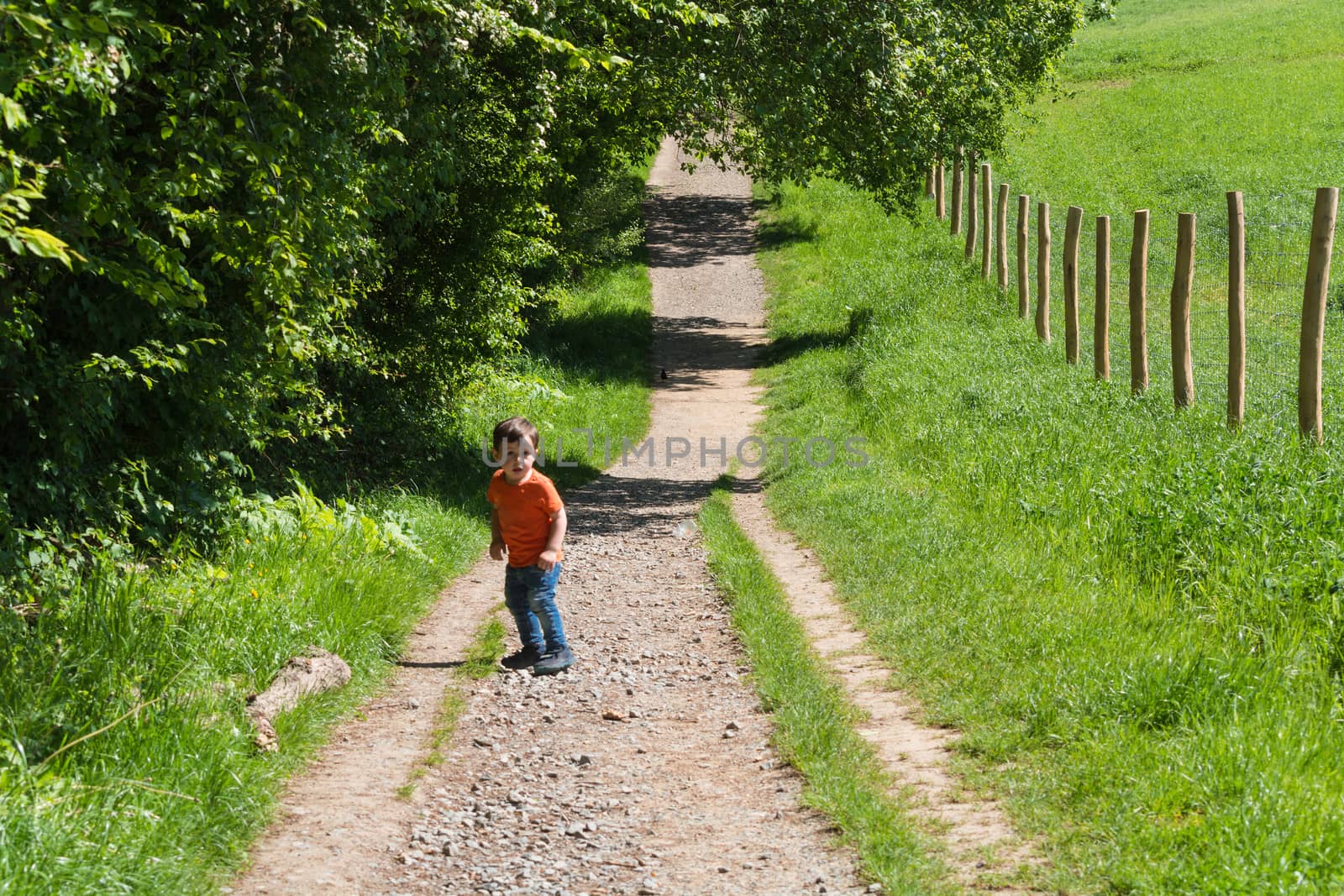 Little boy walking through the natural forest area in Neandertal.