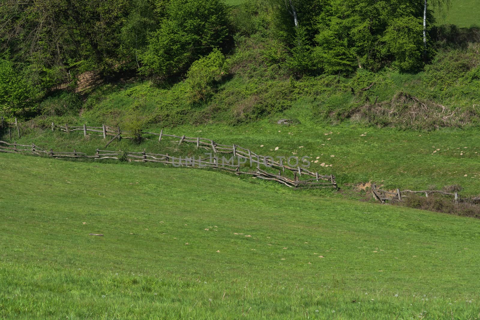 Panorama of a typical alpine meadow with wood fence.
Mountain and valley