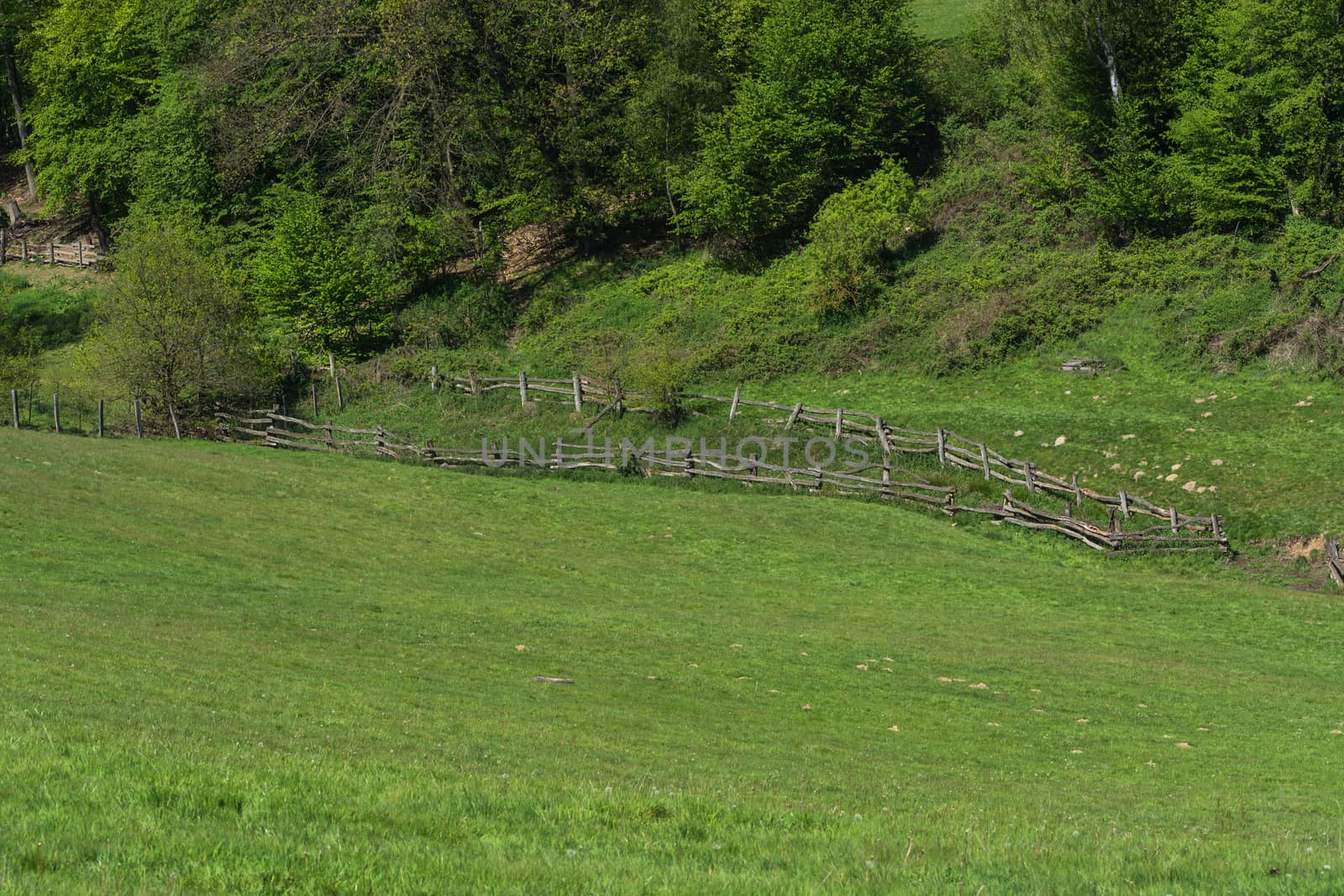 Mountain and valley, alpine meadow with fence. by JFsPic