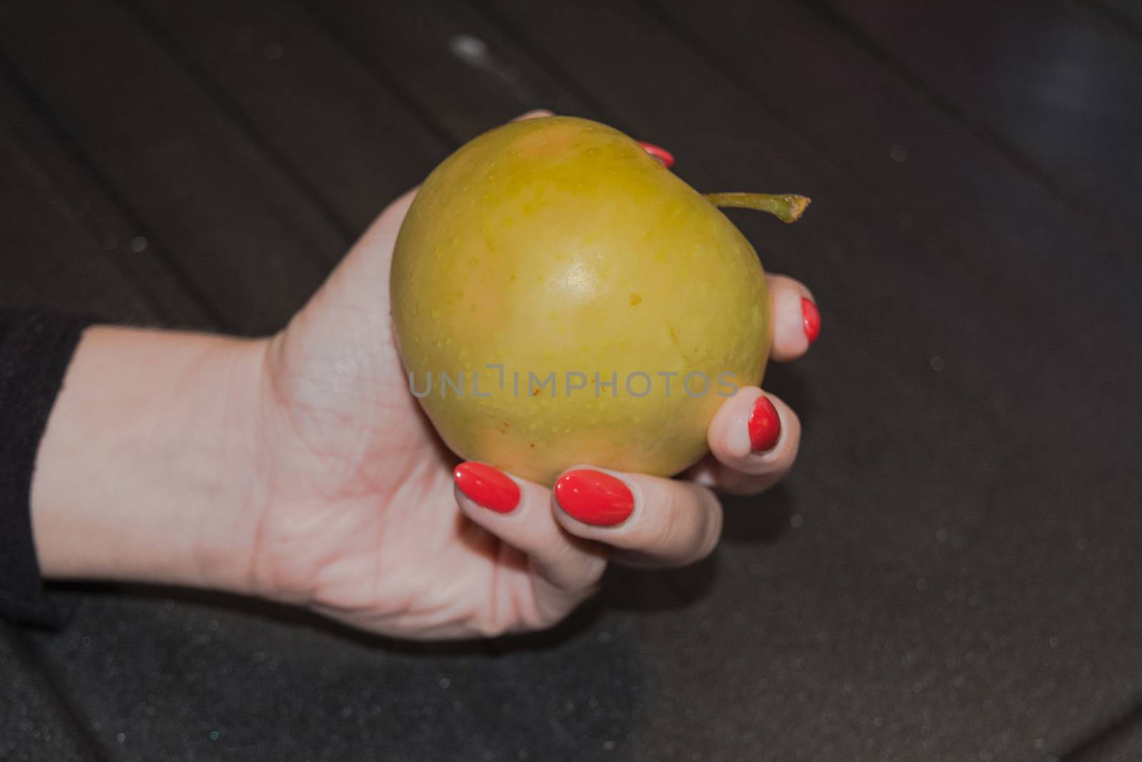 Woman hand holding a green freshly picked wild apple