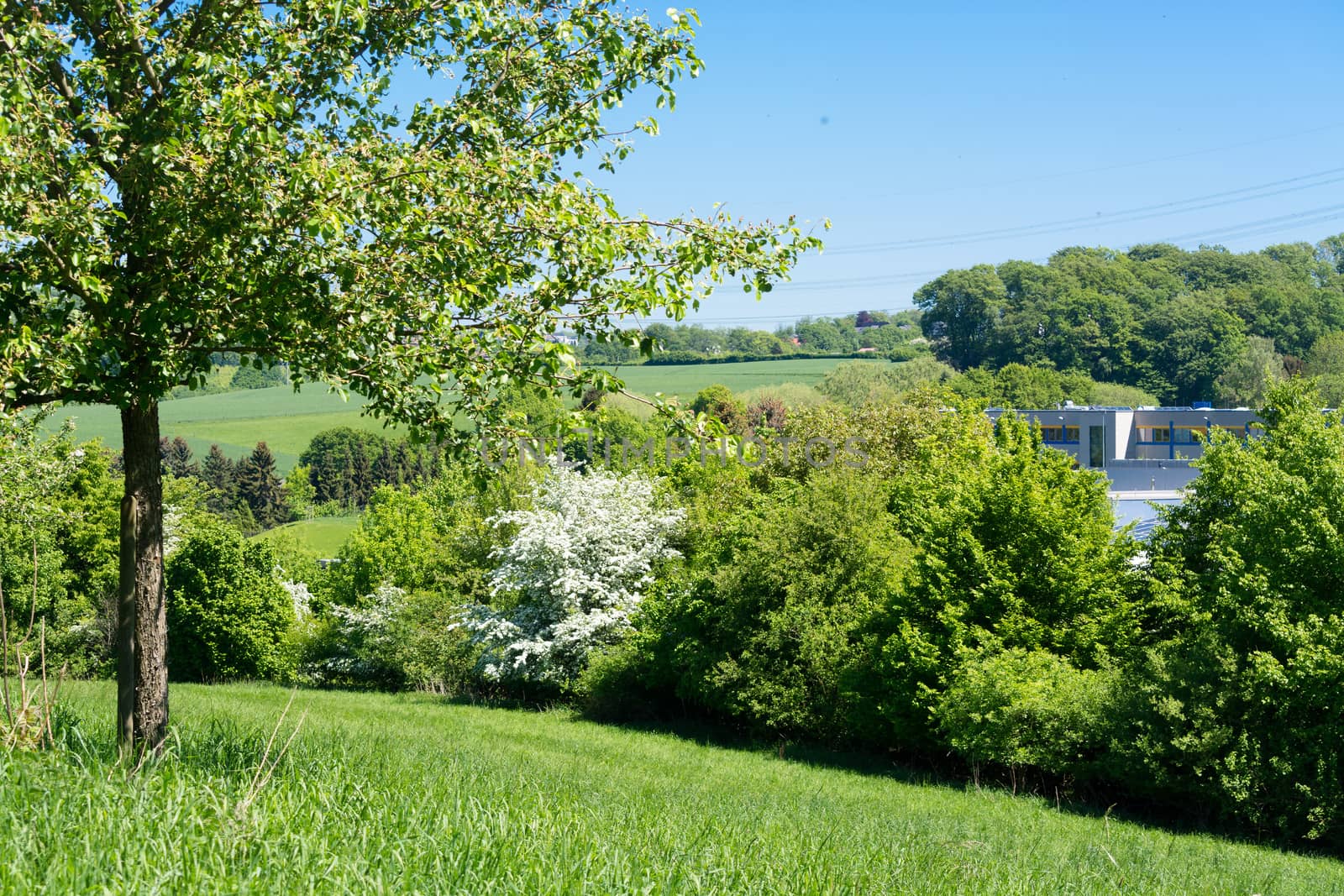 Nature landscape on small hills and blue sky with cloudN