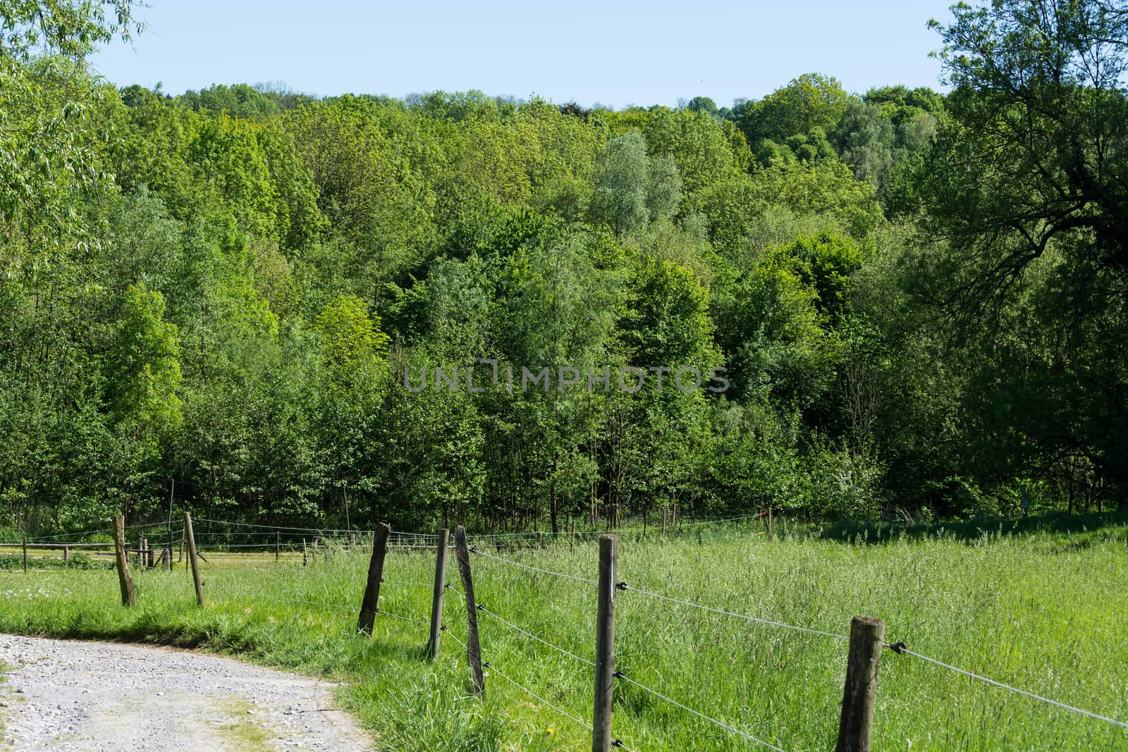 Nature landscape on small hills and blue sky with cloudN