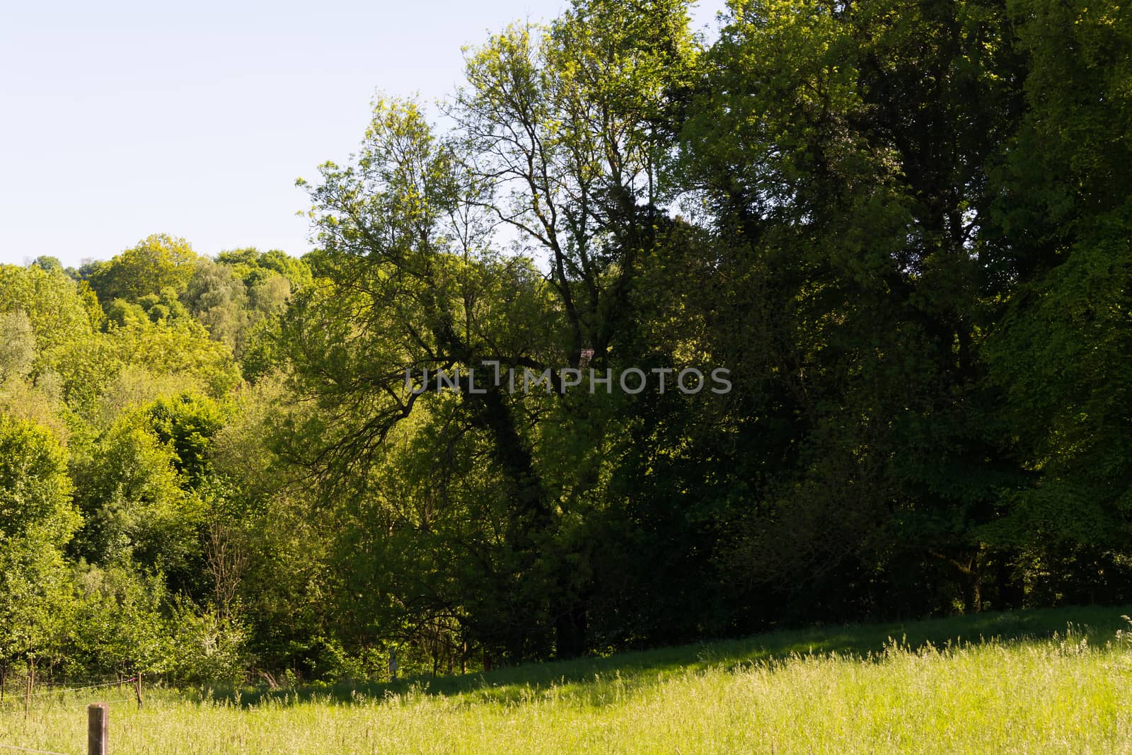 Landscape green grass field nature landscape by JFsPic