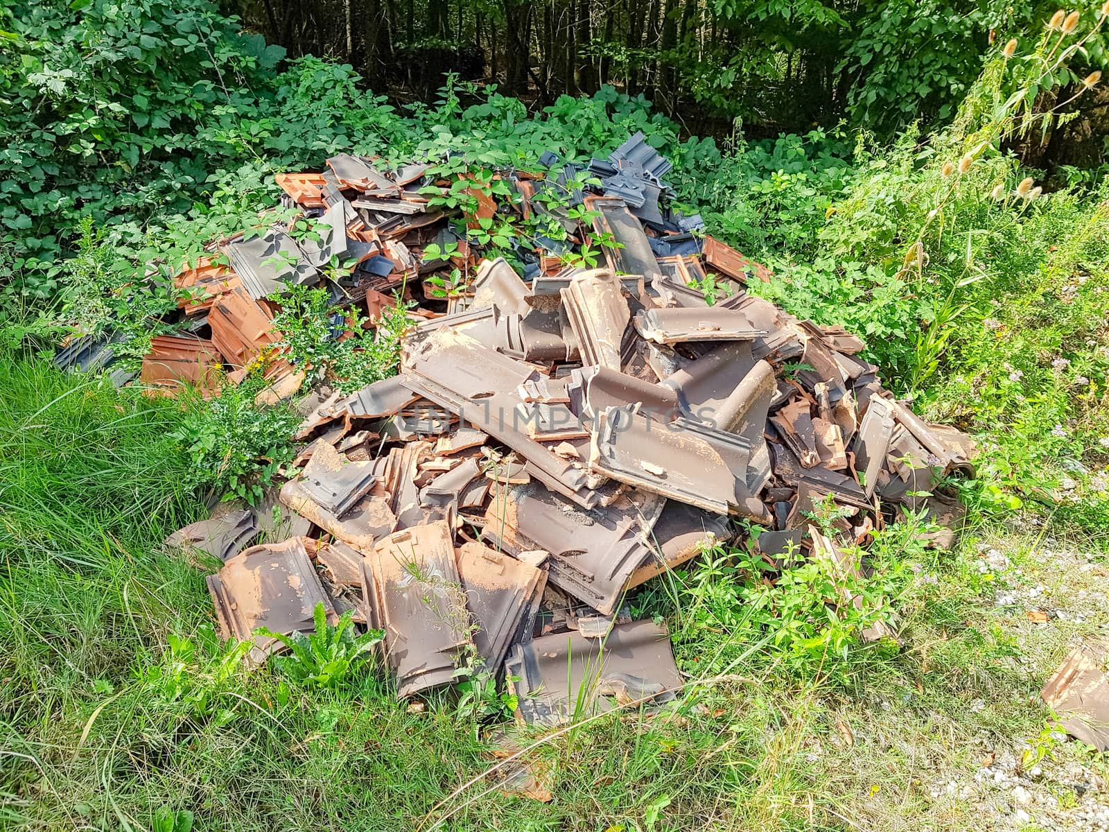 Illegal and illegal disposal of roof tiles in a forest