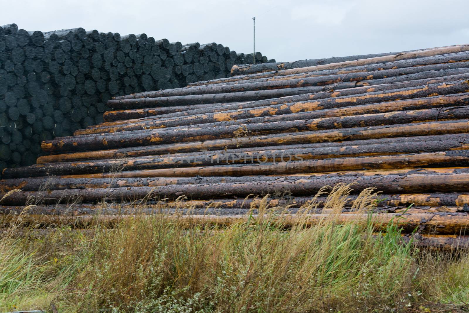 Stacked wood on a wood storage yard by JFsPic