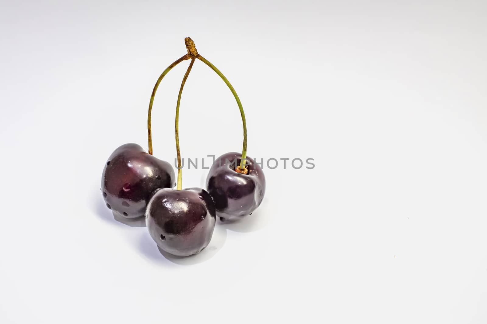 red cherries on a white background