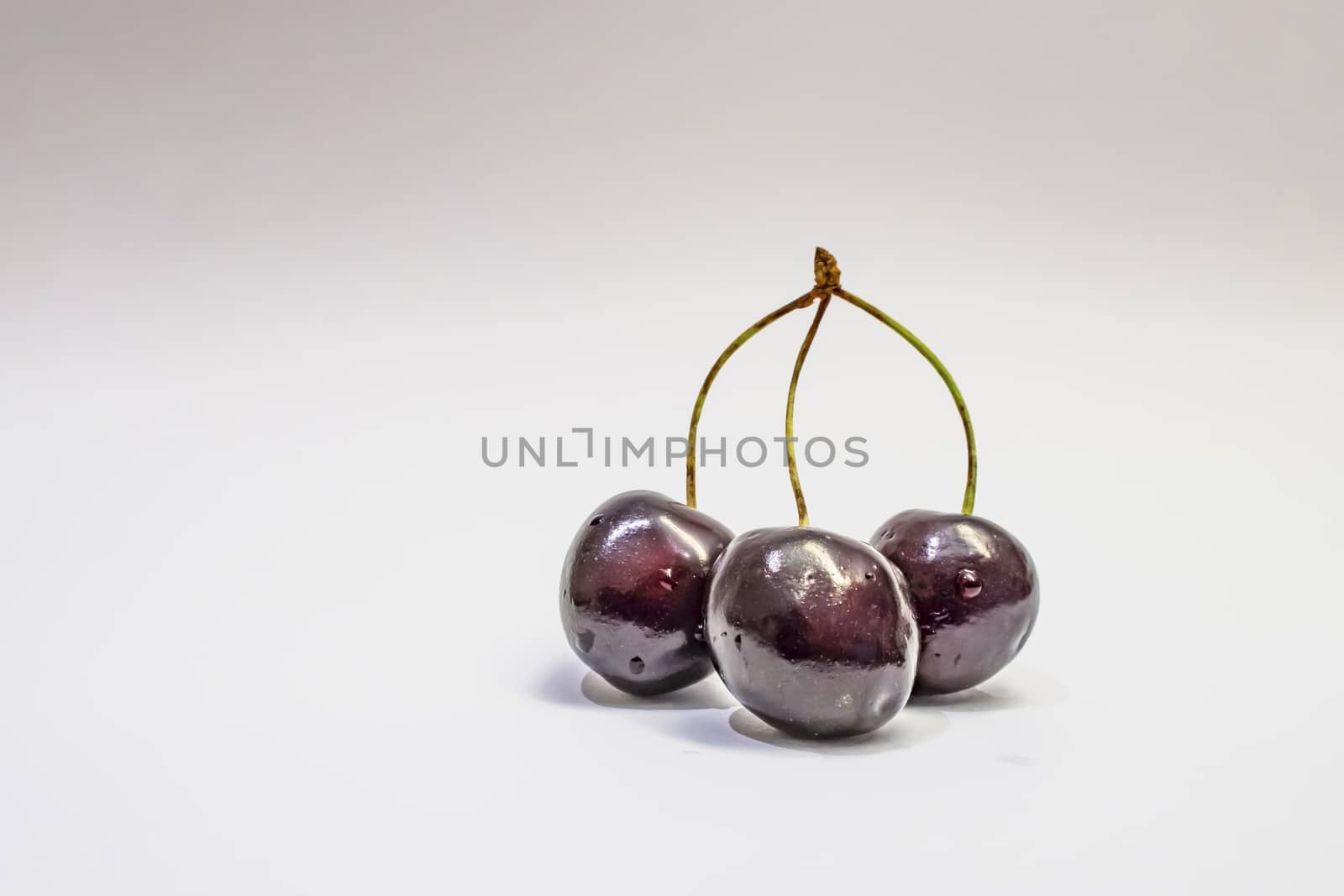 red cherries on a white background