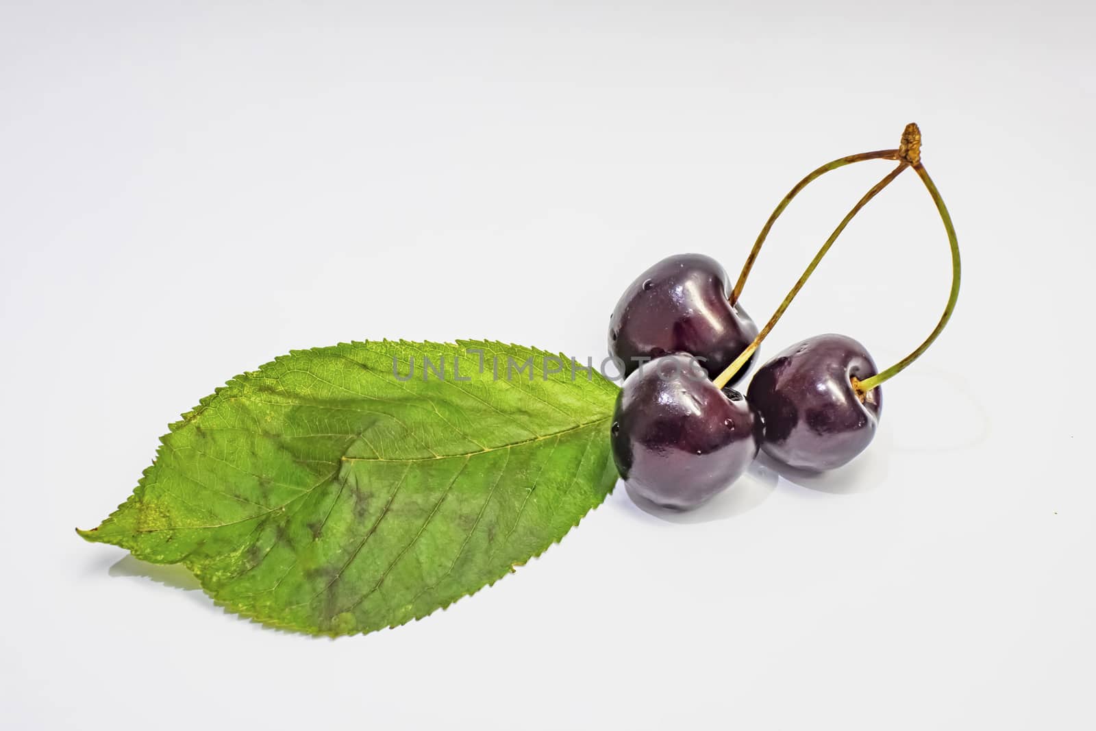 red cherries on a white background