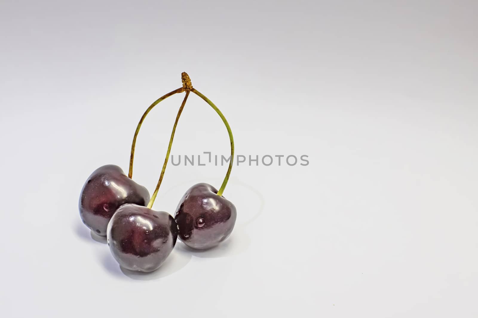 red cherries on a white background