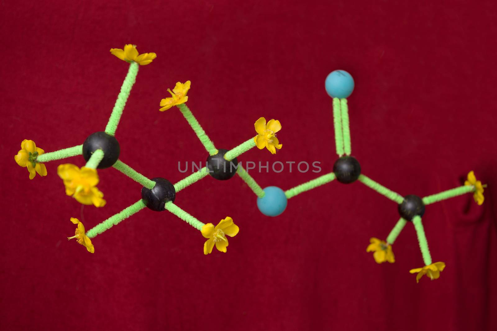Floating on a red blanket background, a home school chemistry science project creation that represents propyl ethanoate or propyl acetate is shown.