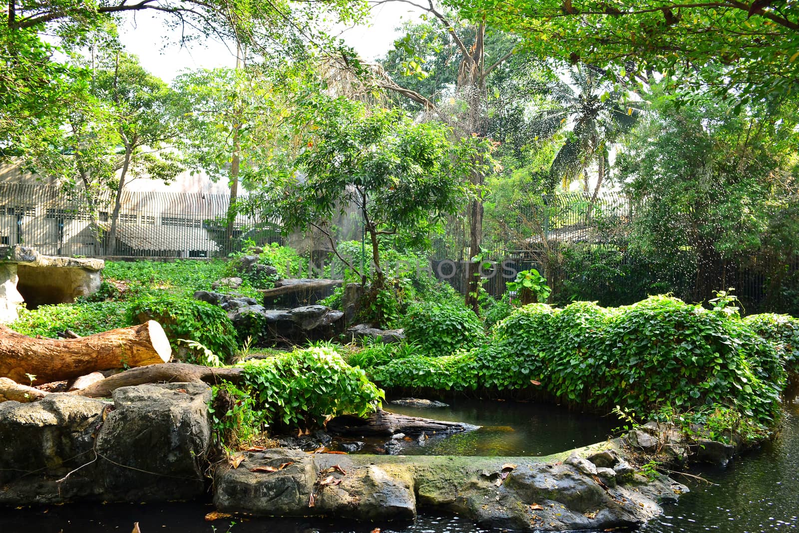 Animal cage with pond at Dusit Zoo in Khao Din Park, Bangkok, Th by imwaltersy