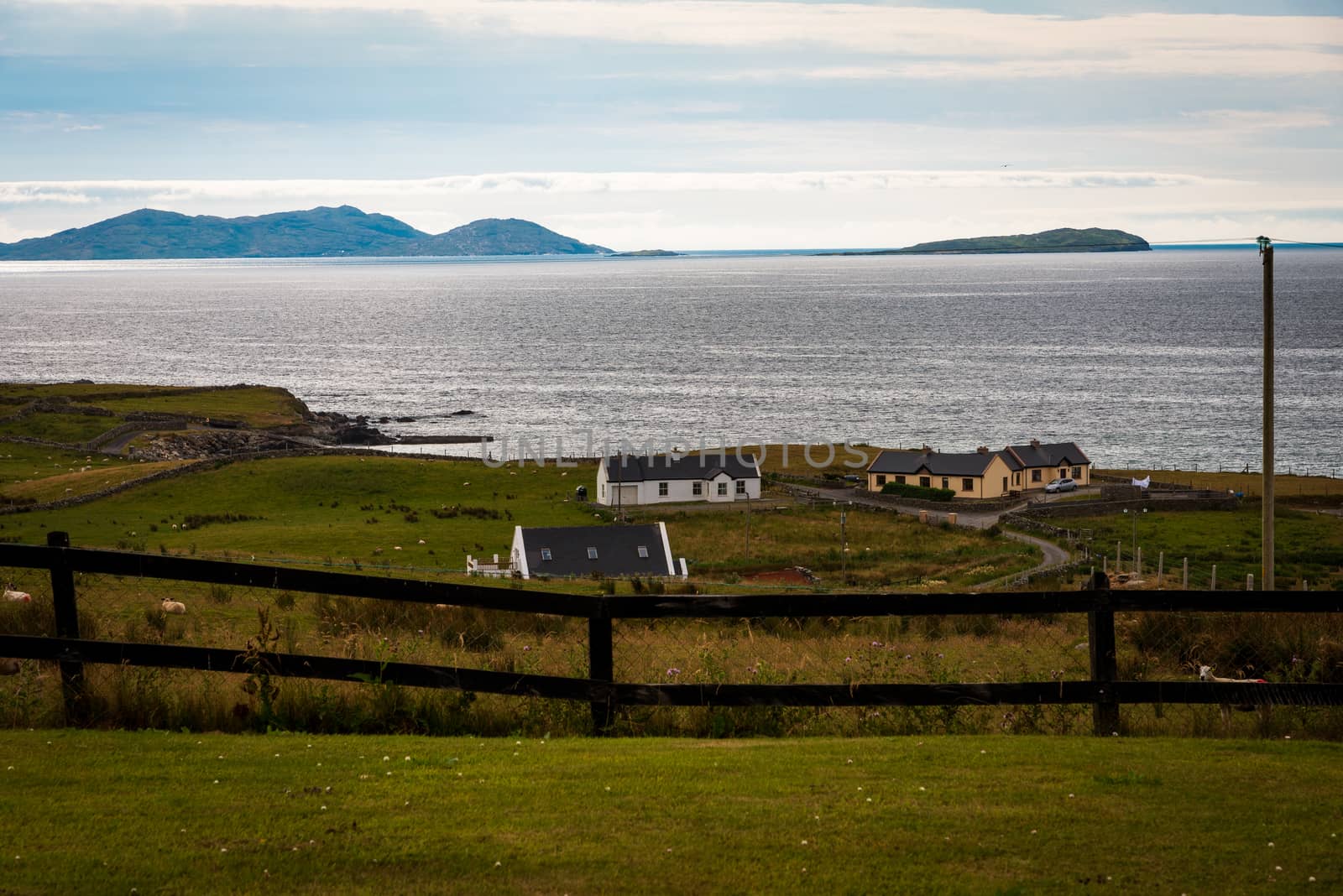 Farmhouses and sheep on the coast of the Irish Sea.