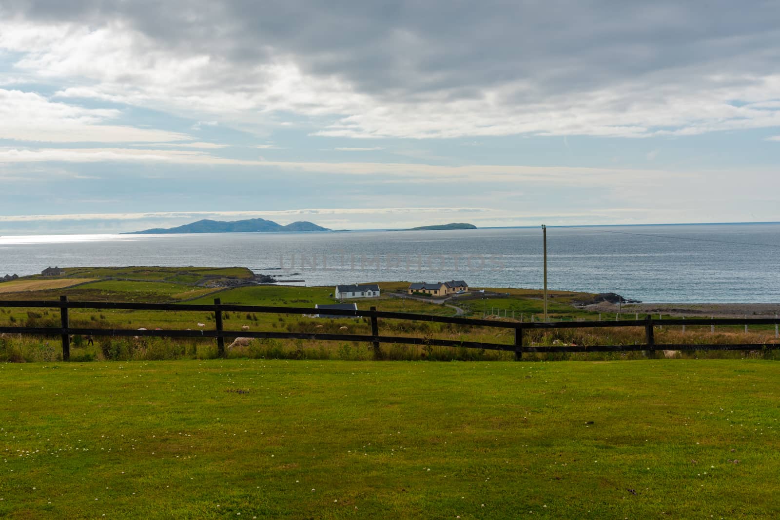 Photo of a sheep farm looks out over the Irish Sea.