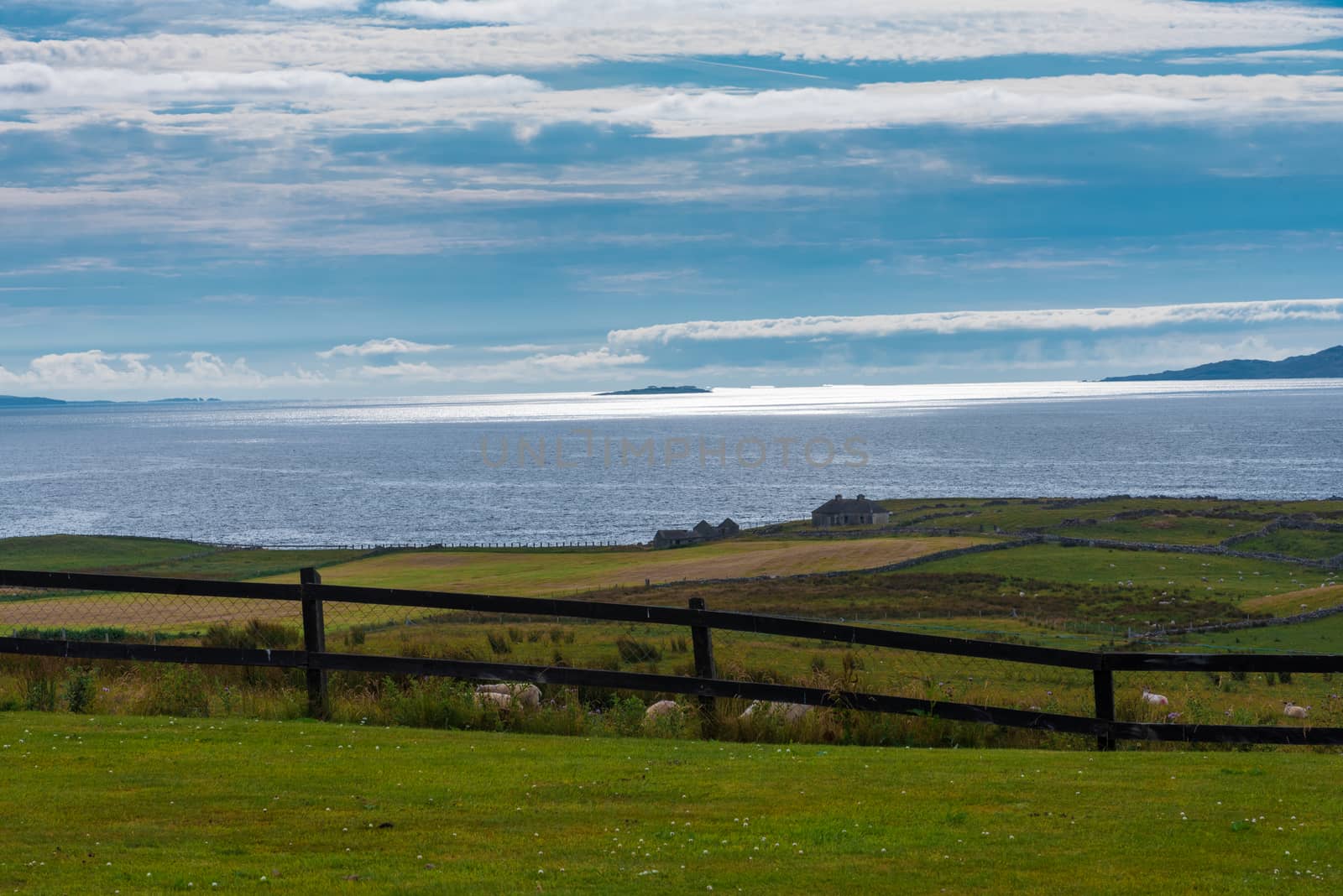 Sheep Station on the Irish Coast by jfbenning