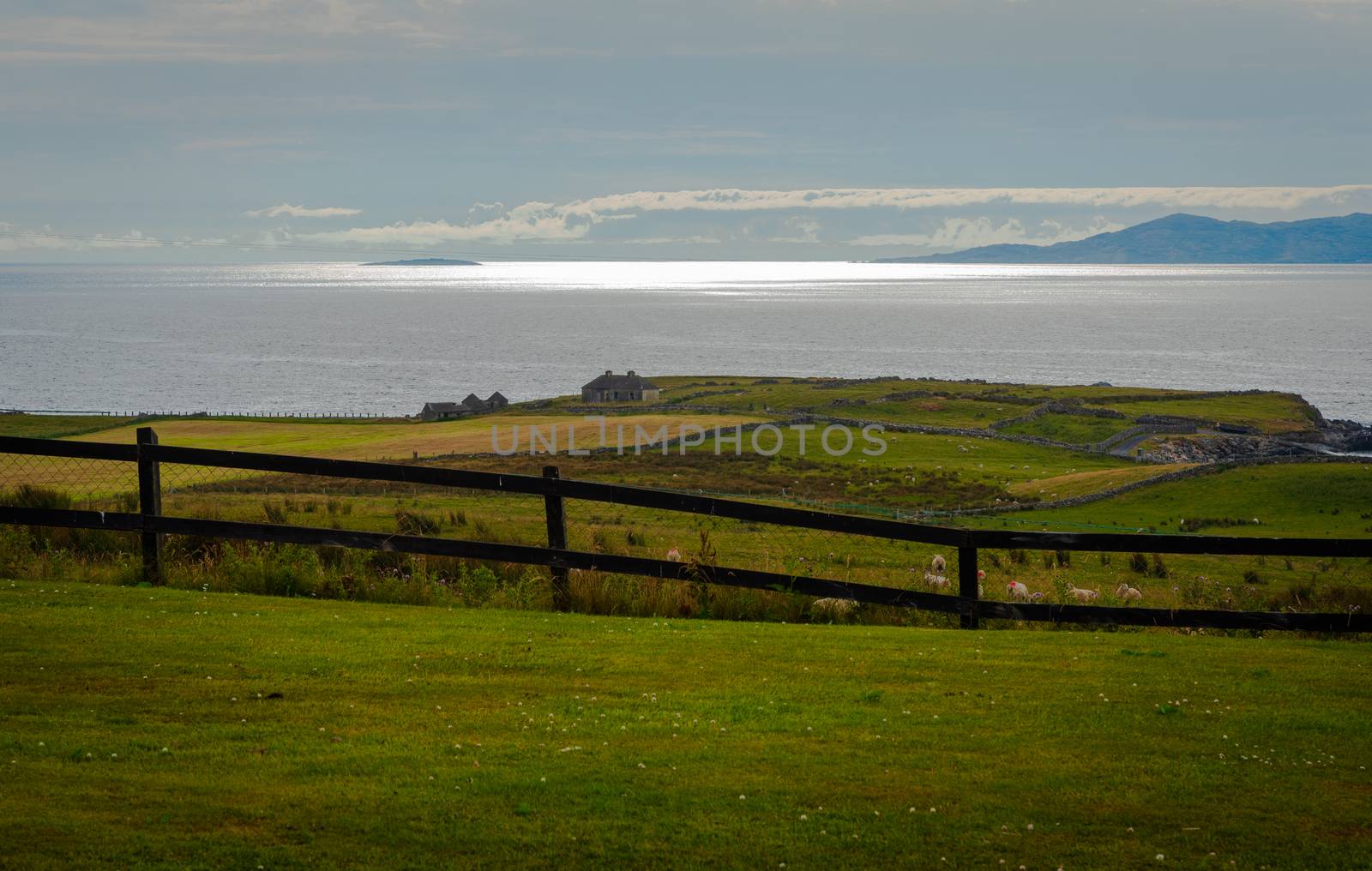 Sheep Farm Looks over the Irish Sea by jfbenning