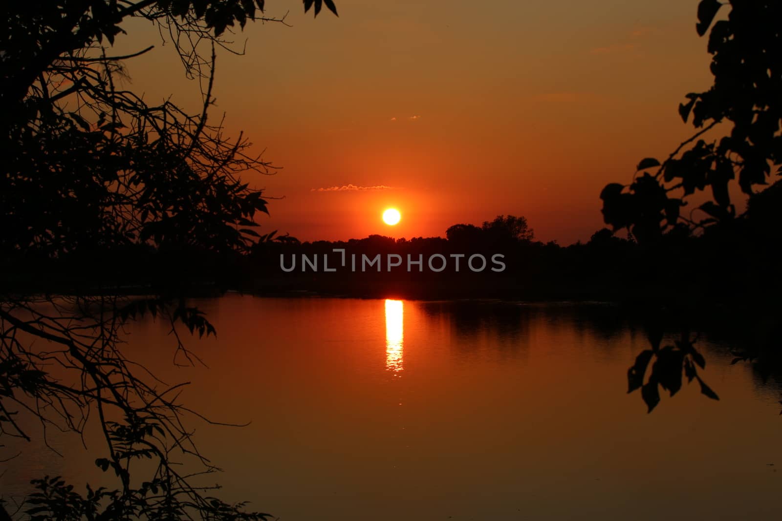 A great sunset with a lake view and bushes in the foreground