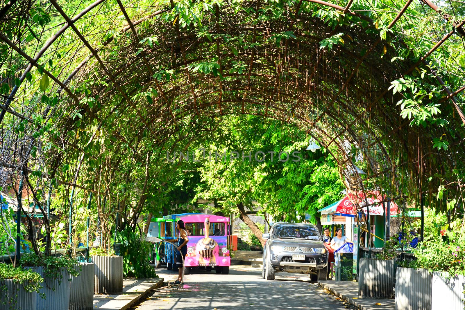 Path way with arch at Dusit Zoo in Khao Din Park, Bangkok, Thail by imwaltersy