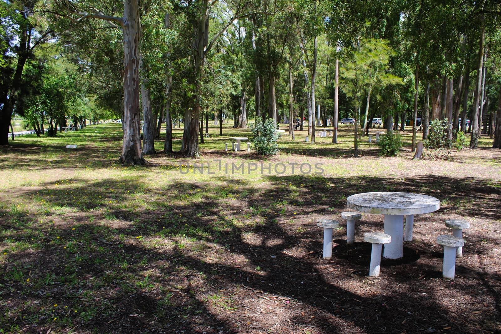 Space for recreation and relaxation. Park in Beja, Portugal. by mahirrov