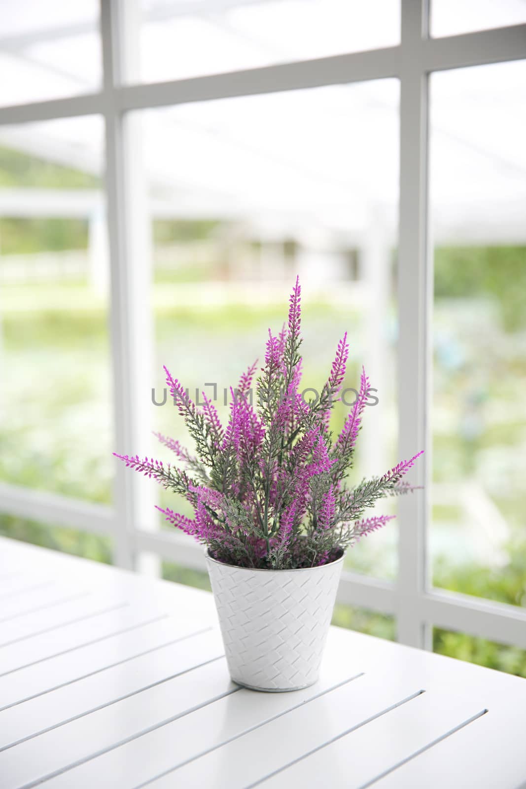 purple flower in jar