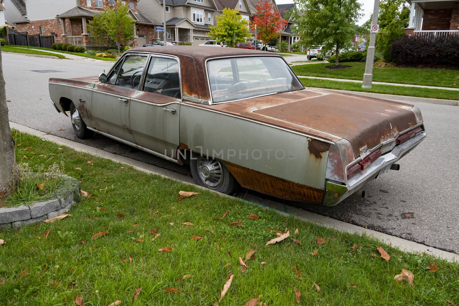 The car arrived and is standing on the street all rusty, hood, roof and trunk