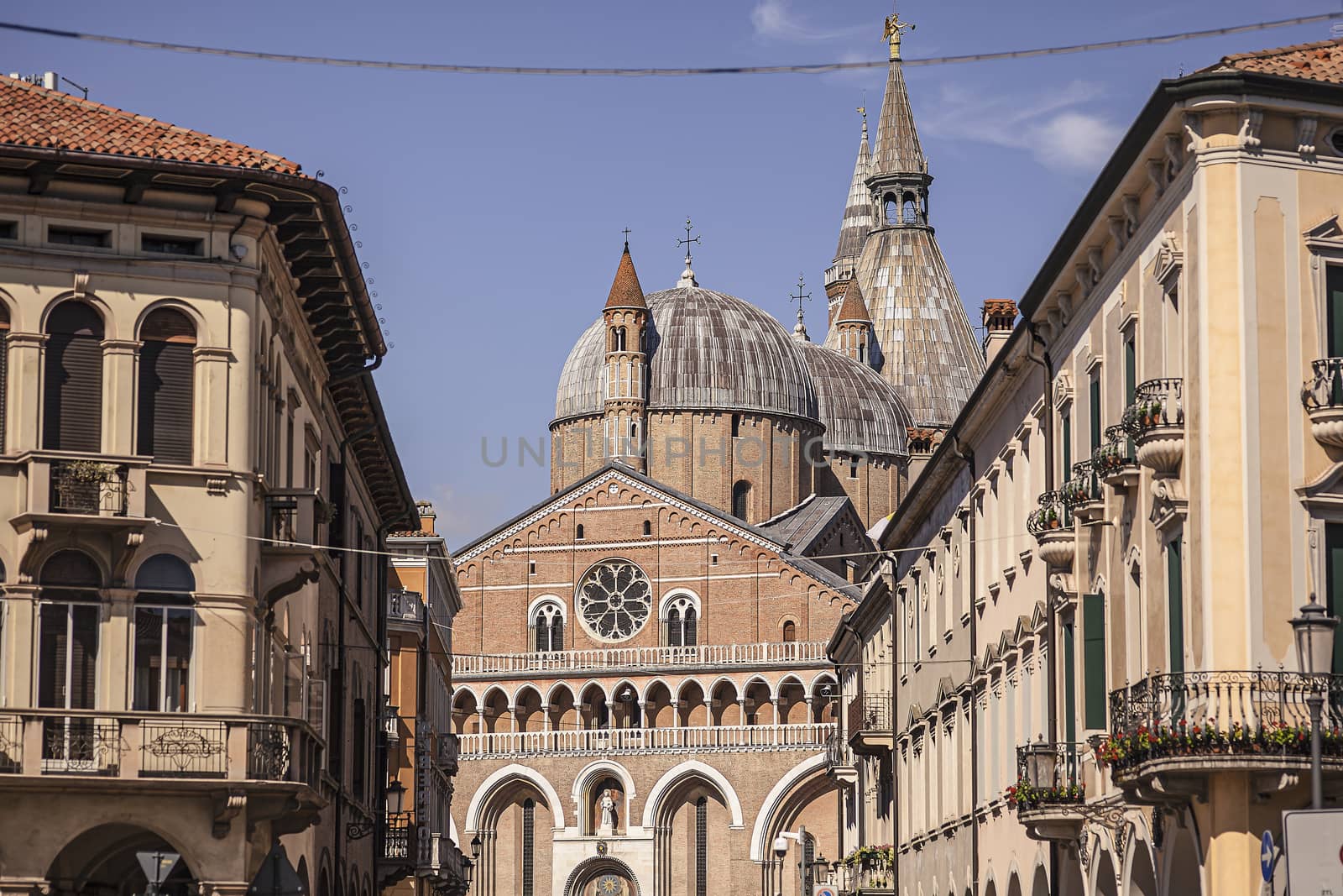 Saint Antony cathedral in Padua, Italy by pippocarlot