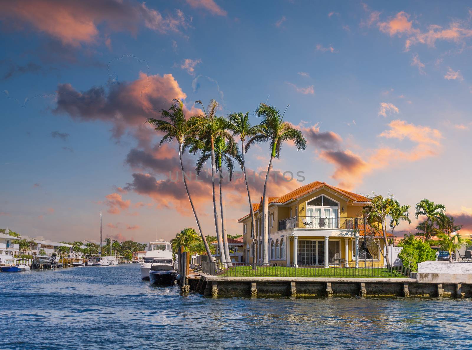 Waterfront Home with Palm Trees at Dusk by dbvirago