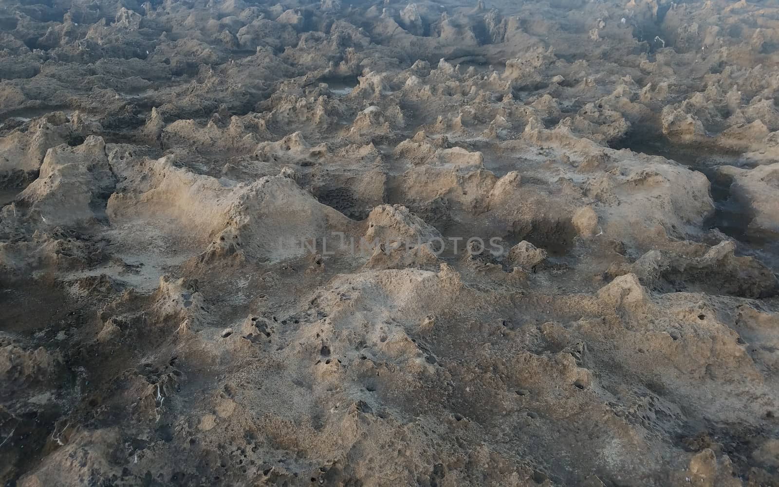 rocky landscape at beach in Isabela, Puerto Rico by stockphotofan1